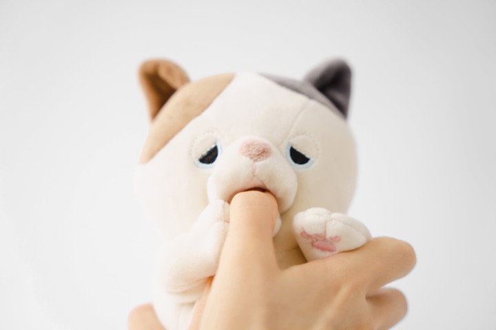 Calico-cat Amagami Ham Ham plush robot gently nibbling a person's fingertip against a plain white background.