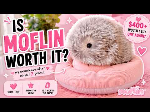 Video still: Is Moflin Worth It? My Honest Experience After Almost 2 Years #Moflin #モフリン #casio #fyp