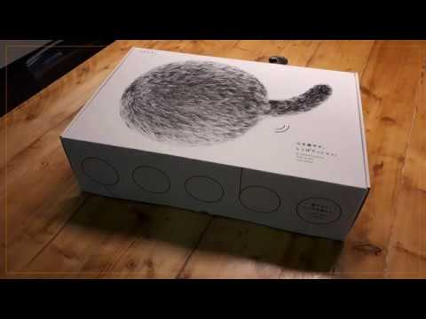 Video still: Qoobo unboxing